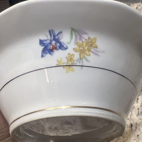 Antique Haviland Oval Serving Bowl 1920-1930 Limoges France Gold Rim‎ 9.5X7.25" - Picture 9 of 13